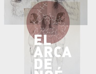 CARTEL-arca-noe